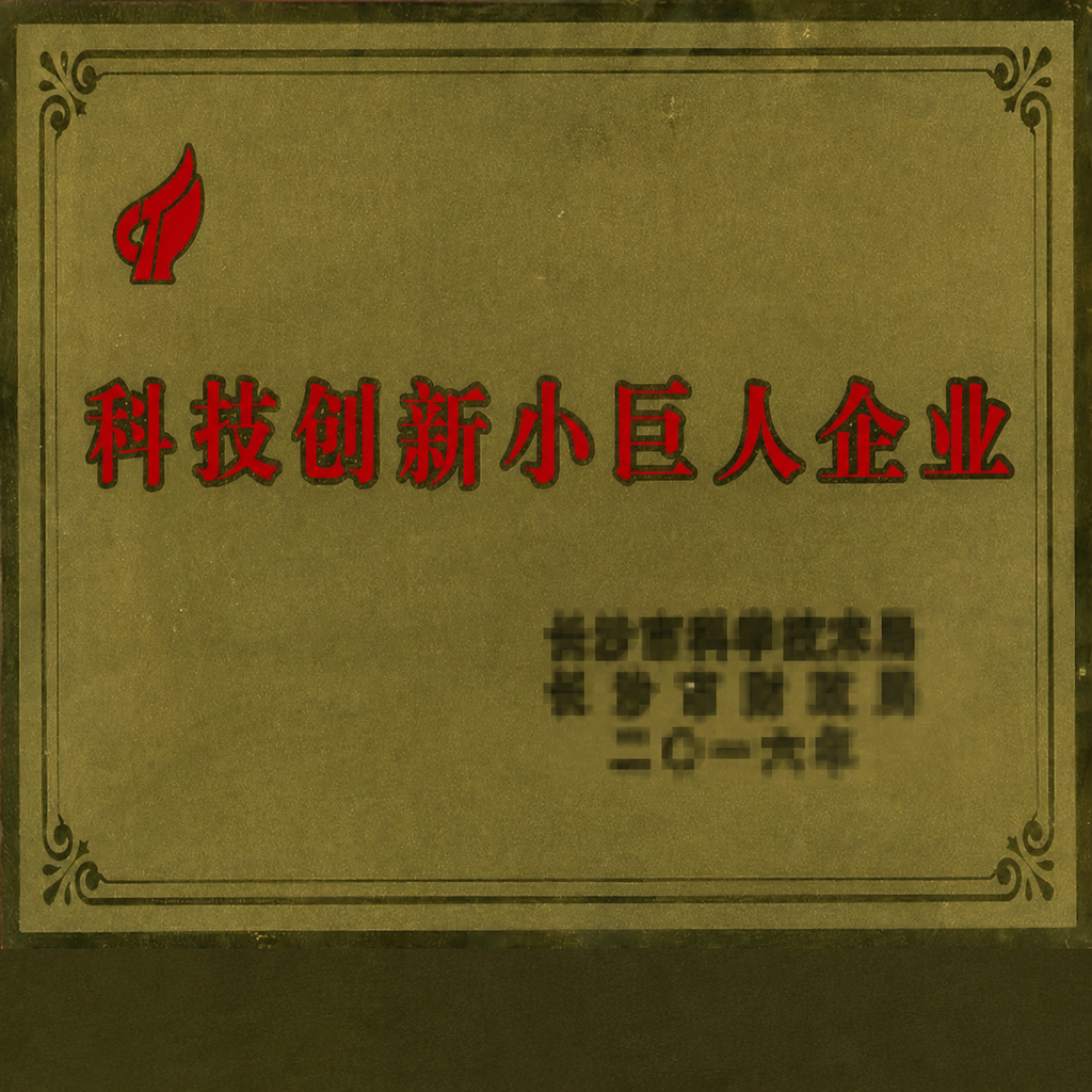 科技创新小巨人